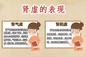 肝强，耐力好；肾好，时间长；肝肾强健，宗筋才会持续有力图片