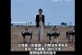 看到珠海航展的“与狼共武”，台湾蒙了……图片