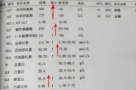 肝功能6项关键指标正常，说明你的肝脏基本健康！图片