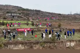 春风吹满地，山间添新绿，贵州多地开展植树节活动图片