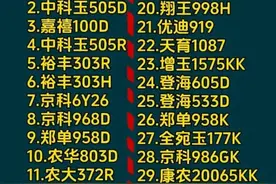 终于有人把转基因玉米，整理出来了，看看有哪些？图片
