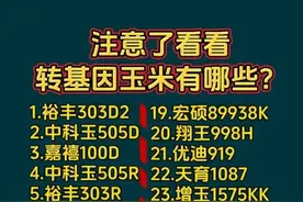 终于有人把转基因玉米，整理出来了，看看有哪些？图片