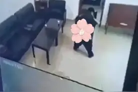 浅谈山东潍坊2名村干部不雅视频图片
