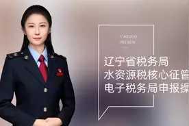 新电子税务局水资源税申报操作讲解图片