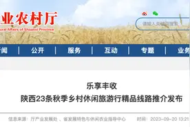 ​23条精品线路！来一场秋天的乡村休闲游......图片