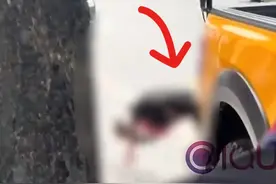 太心酸！快递小哥逆行撞上豪车，疑似担心赔偿不起，崩溃疯狂自虐图片