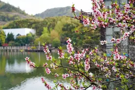 逛市集，上春山！来苏州高新区赏花踏青图片