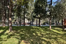 会客、休憩、观景→全市首个花园式示范街区亮相图片