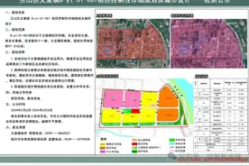 临沂城区新规划一所高中！图片