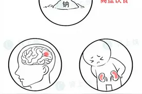 化解高盐伤肾的办法，多吃它！对肾脏和心血管都好！图片