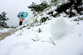 三月飞雪！太美了！温州上一次出现还是20年前图片