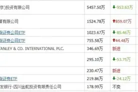 高盛最新布局10个A股，8个股票被外资抱团，汇金和社保也有重仓图片