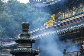 宫廷专用，大补阴阳，补足一身亏虚，堪称益寿延年“长寿方”图片