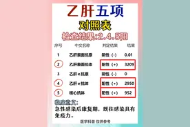 乙肝五项对照表图片