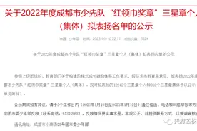 新手家长不懂，高年级追悔莫及的红领巾星章，含金量到底有多高？图片