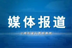 以高质效履职办案助力守护文物和文化遗产图片