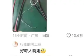 “女生进厂后天快塌了”，迎来3.1万人点赞，读书的意义此时尽显图片