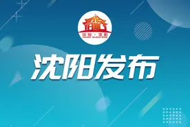 沈水云端，临空启航，沈阳临空经济区规划发布暨全球招商大会举行图片