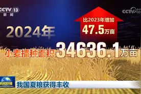数说经济：多领域数据亮眼 中国经济韧性强、潜力大、活力足图片