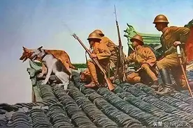侵华战争初期的日军中队，编制多少人图片
