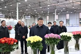 习近平在云南丽江市考察调研图片