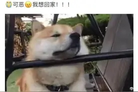 今日开售！五一来杭州的票有多难抢？有人“买长乘短”，有人从上海中转图片