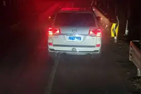 零容忍！拘！图片
