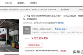 镇江丹阳市一个大型造纸厂整体拍卖，被两家公司6.1252亿买下图片