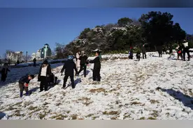 近20年仅积雪5次！温州这场雪，太难得！图片