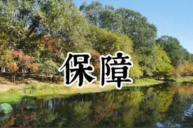 辽宁一7岁女生体育课中猝死：家长依法追责，教师如履薄冰图片