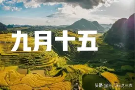 “最怕九月十五晴”，今日九月十五，晴天有啥说法？看农谚咋说图片