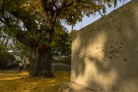 诸葛亮出生成长的“阳都”，是现在哪个地方？图片