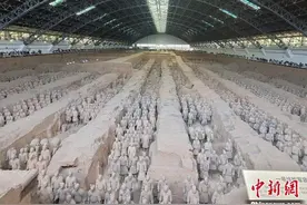 秦兵马俑考古发掘50周年，取得了哪些成果？图片