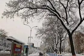 写给催婚爸妈的信图片