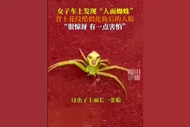 辽宁一女子在车上发现“人脸蜘蛛”，眼影口红都有，网友：你不要过来呀图片