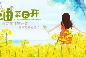 第十一届君山区良心堡油菜花节邀您共赏！图片