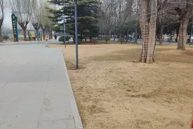 在公园里唱得鬼哭狼嚎，折磨自己也折磨别人，这是何苦呢？图片