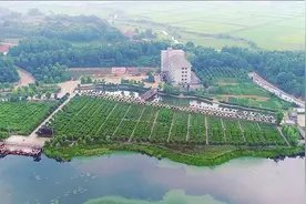 岁月不枉赶路人——岳阳县黄沙街镇“新农人”的创业故事图片