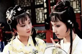 林黛玉说的“母蝗虫”可不只骂刘姥姥！薛宝钗一边装傻，一边捧哏图片