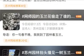 苏州园林赏花主题火上热搜！图片