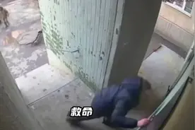 被掩盖的乌克兰哭声：乌克兰的女人正在用最后的家门拯救乌的男人图片