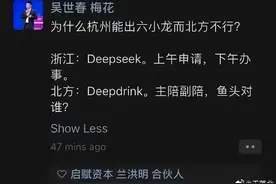北方Deepdrink引热议， DeepSeek这样说图片