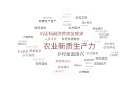 全国两会“三农”热词网友谈图片