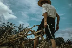 堂哥带着一家子出门打工，十几年没回来，让我明白了一件事图片