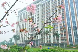 刚刚！2024学考填志愿时间曝光！3月15日开填？图片