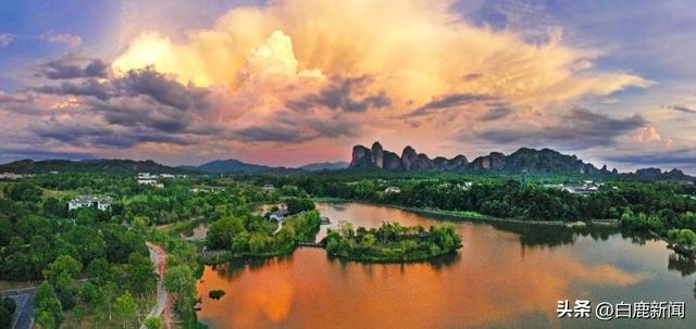 龙虎山：这片鸟的乐土