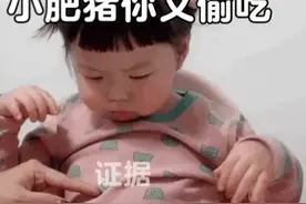 表情包：小肥猪你又偷吃图片