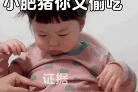 表情包：小肥猪你又偷吃图片