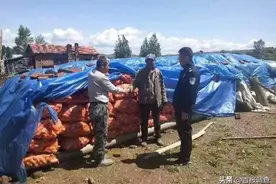 因黄牛偷吃玉米邻里之间矛盾重重，吉林天桥岭民警耐心化解促和谐图片