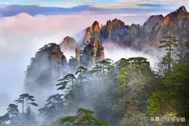 黄山四季度【免票】【半票】福利活动惊喜开启！图片
